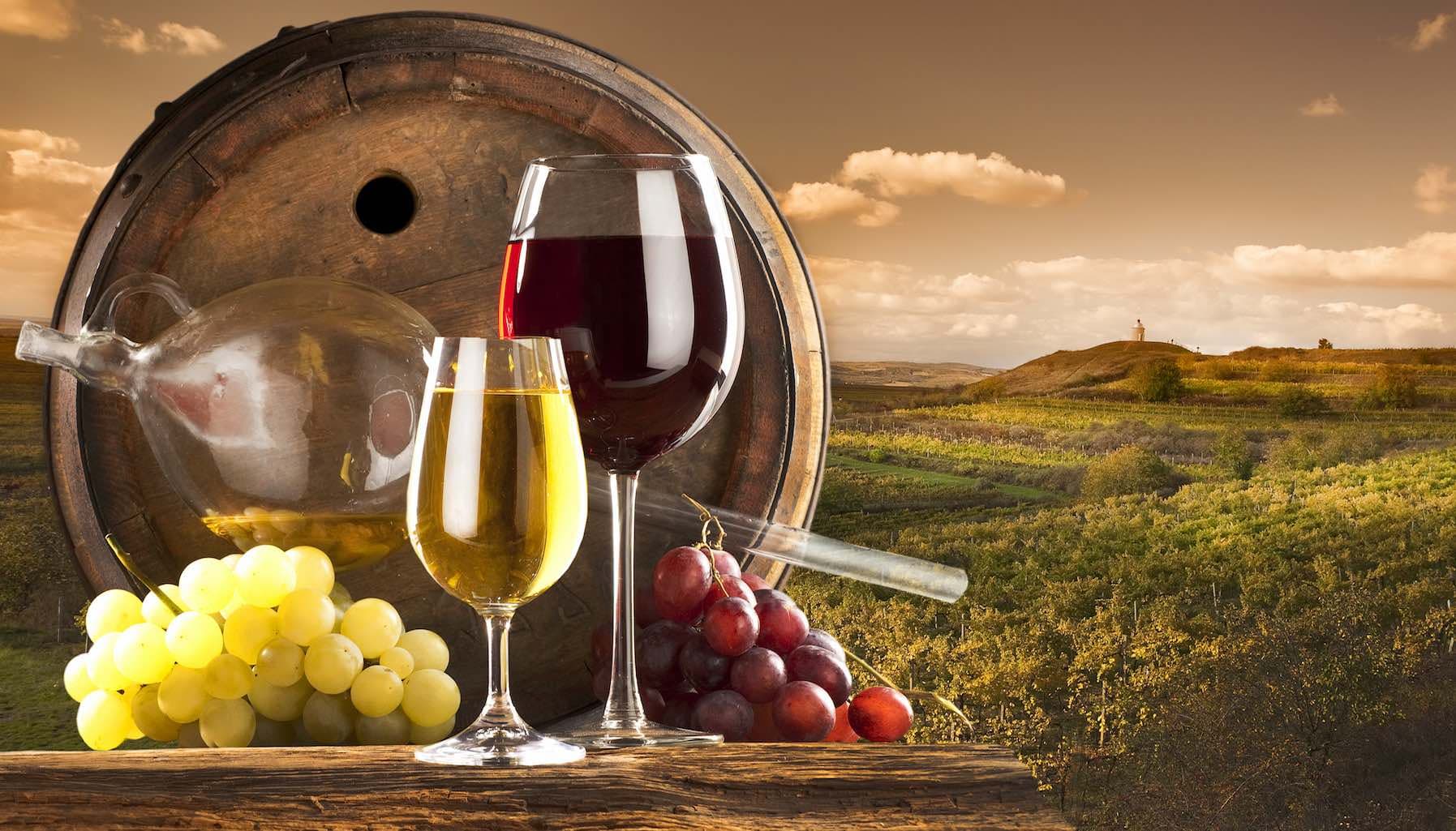 Tìm hiểu những kiến thức cơ bản về rượu vang
