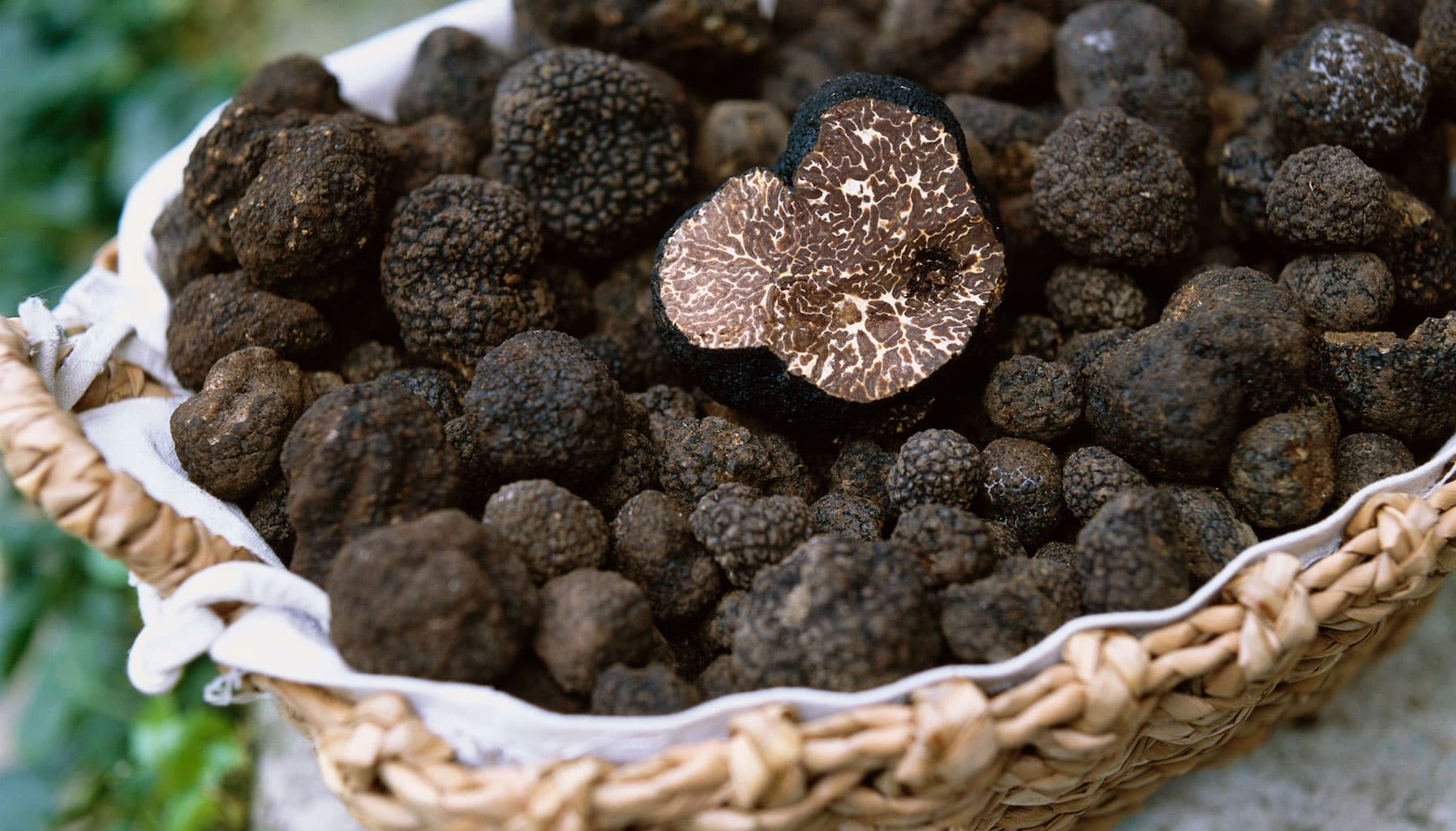 10 sự thật thú vị về nấm truffle