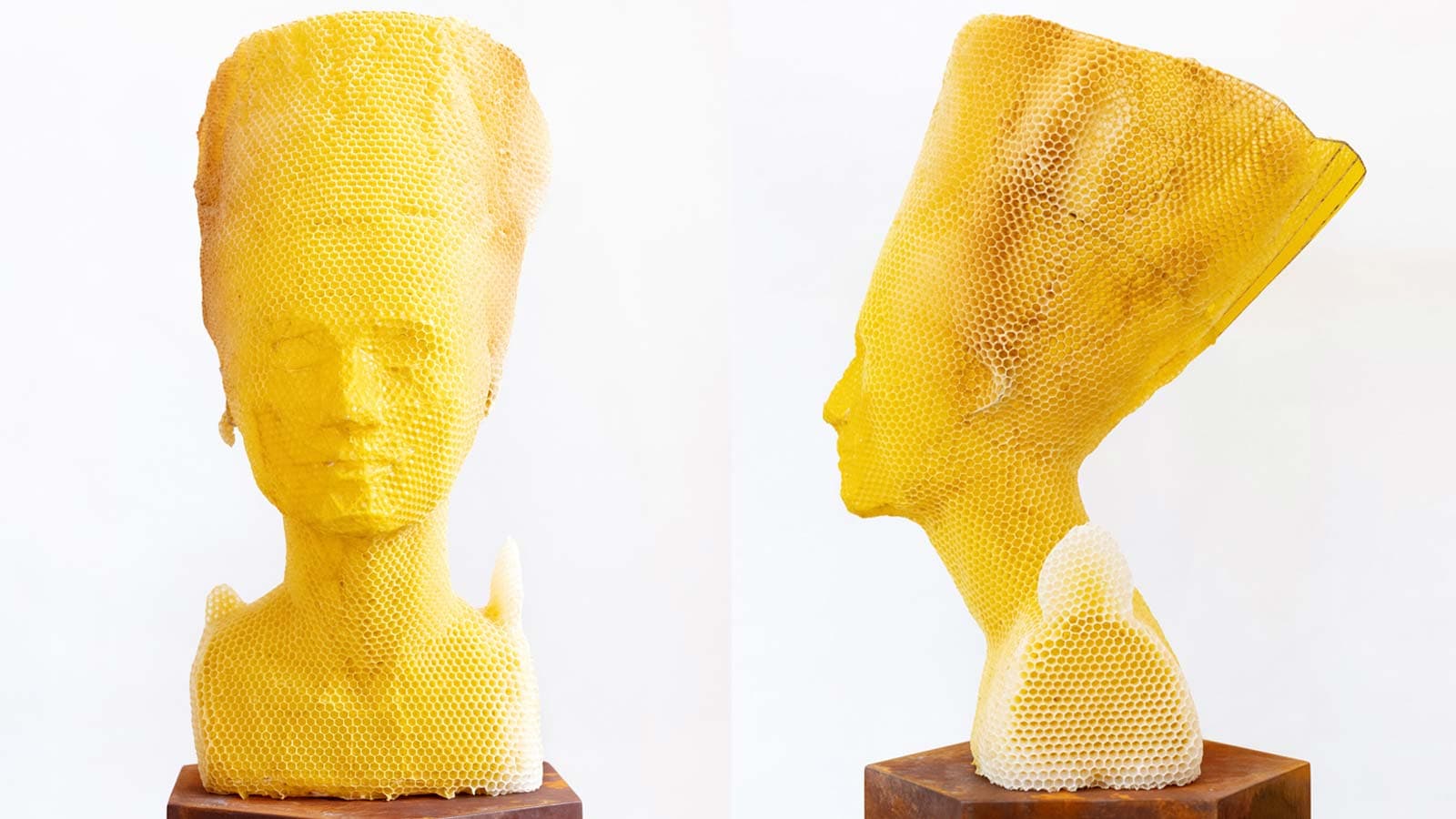 60.000 chú ong “nghệ sĩ” tạo nên bức tượng sáp Nefertiti đáng kinh ngạc