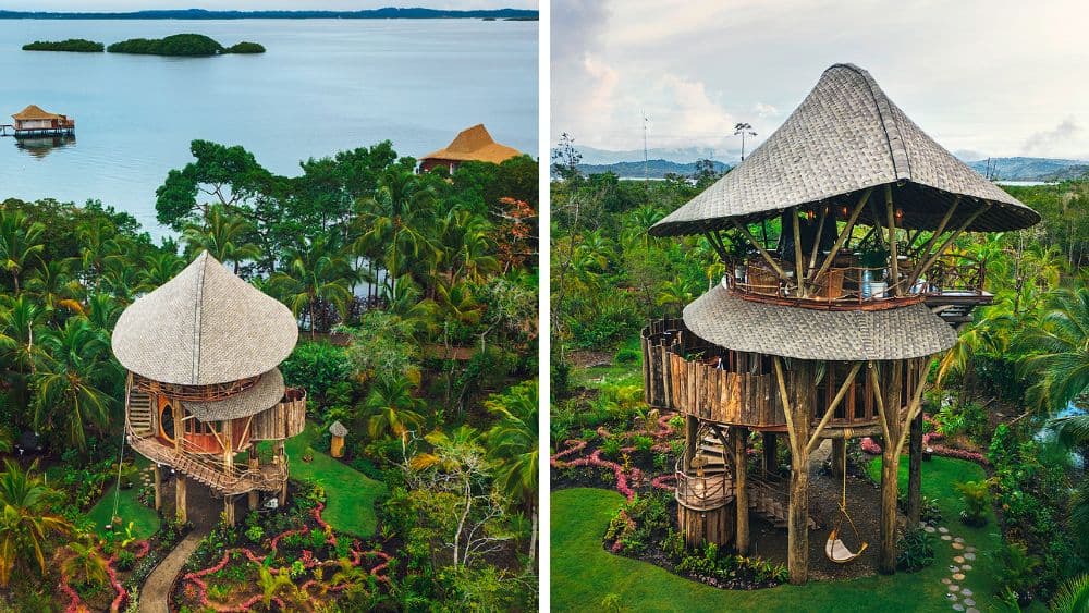 Đến Panama, thử làm chúa đảo tại 2 căn suite cao 15m hướng ra khu rừng nhiệt đới