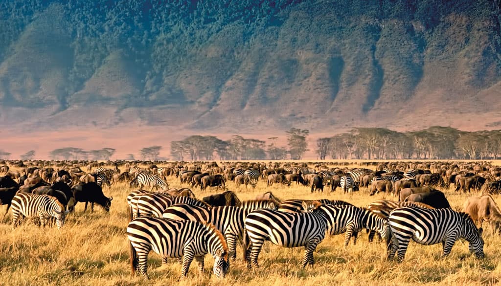 Safari trên bầu trời châu Phi